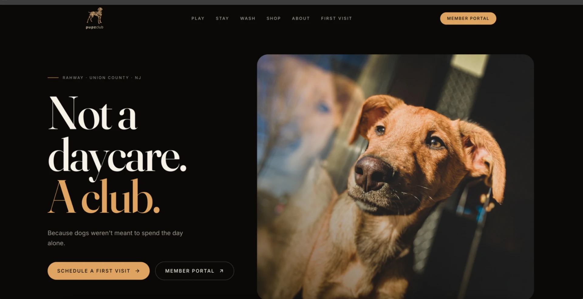 Pupz Club website homepage